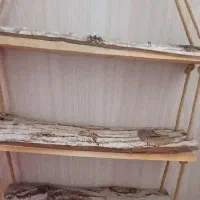 شلف طبقه بندی جاگلدانی ویترین خاص دست ساز خاص|کتابخانه، شلف، قفسههای دیواری|قم, شهدا|دیوار