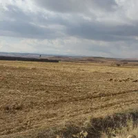 ۷۰۰۰ متر زمین لب جاده بهترین جای آب پرده قلات|فروش زمین و ملک کلنگی|شیراز, کودیان|دیوار