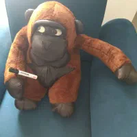 اسباب بازی و غیره|اسباببازی|شیراز, ماه فیروزان|دیوار