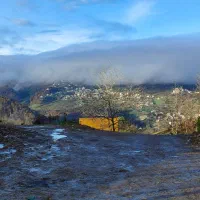 شبدر چین یک و دو