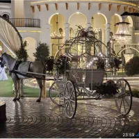 کالسکه ی اسب