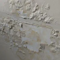 گچکاری و گچبری