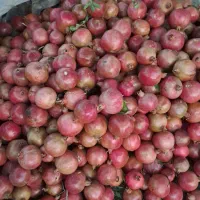 انار آب دار ربعی پختن