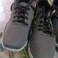 3جفت کفش نو|کیف، کفش، کمربند|تربت جام, مطهری|دیوار