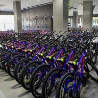 ۲۰۲۵ دنده دار