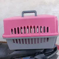 باکس|لوازم جانبی حیوانات|رضویه, |دیوار