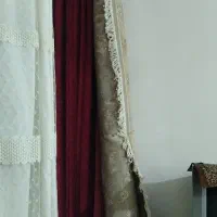 یک عدد غالی 12متری در حد  صفر