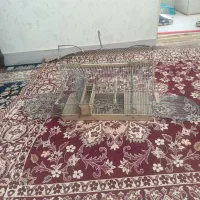 قفس بزرگ دستبافت سهره|لوازم جانبی حیوانات|محمدشهر, همایون ویلا|دیوار