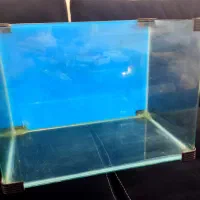 آکواریوم ضخیم شرکتی|ماهی|فردیس, شهرک سپاه|دیوار