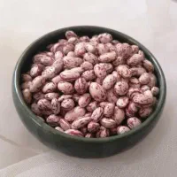 لوبیا چیتی