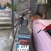 موتور هوندا125 مدل 83 پلاک ملی|موتورسیکلت|رودسر, |دیوار