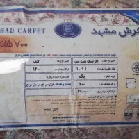 12متری سالم|فرش|فولادشهر, C5|دیوار