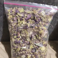 گیاهی