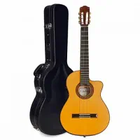 گیتار دیاموند الماس پلاس همراه هدیه آموزشی