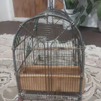 قفس سهره