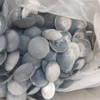 پابه رگال دیواری شاخه ای|فروشگاه و مغازه|جوادآباد, |دیوار