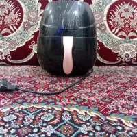 دستگاه  کباب پز  برقی