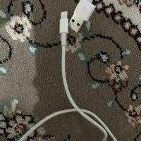 کابل شارژ اپل اصلی