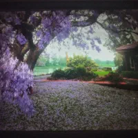 تابلوچراغ دار بجای شبخواب هم میشه استفاده کرد