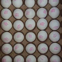 توزیع تخم مرغ تازه و با کیفیت