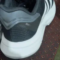 کتونی رانینگ اصلی سایز ۴۲|کیف، کفش، کمربند|همدان, |دیوار