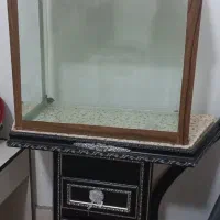 اکواریوم|ماهی|زاهدان, |دیوار