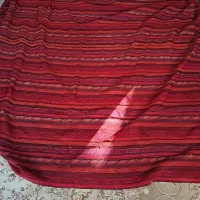 فرش و گلیم|گلیم، جاجیم، گبه|بندر انزلی, پیل علی باغ|دیوار