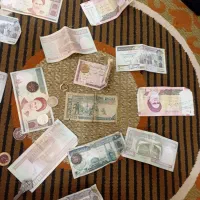 هر جوری معامله کنی درخدمتیم