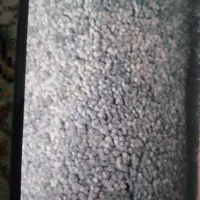 پالاز موگد