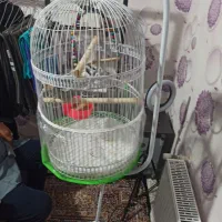 قفس پایه دار نو مخصوص تمامی پرندگان