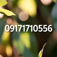 خط همراه اول رند    ۰۹۱۷۱۷۱۰۵۵۶