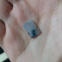 سنگ شجر|جواهرات|اهواز, گلدشت|دیوار