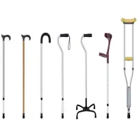 عصا پیدا شده