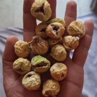 انجیر بش درجه ۱|خوردنی و آشامیدنی|شیراز, شهرک فرزانگان|دیوار