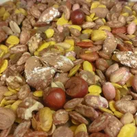 آجیل شب یلدا