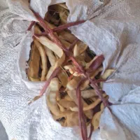 خوراک دام، بذر درخت بی‌عار