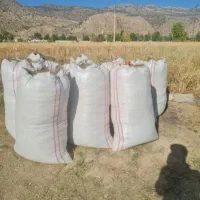 کاه عدس مخلوط ینجه عدس