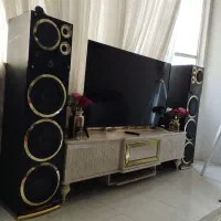 اسپیکر دوقلو خانگی