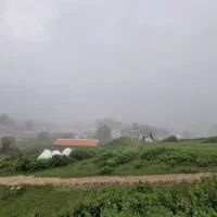 ۲۵۰ متر زمین شهرکی چمستان جلیکان سفلی