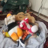 تعداد زیادی عروسک های خارجی
