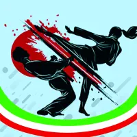 دفاع شخصی دختران فیروزآباد