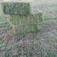 280بسته یونجه درجه یک|لوازم جانبی حیوانات|جوانرود, |دیوار