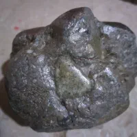 سنگ فسیل