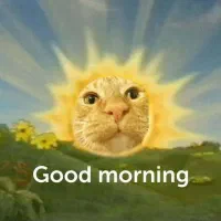 گربه ملوس|گربه|خرم‌آباد, |دیوار