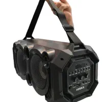 اسپیکر هیسکا B165