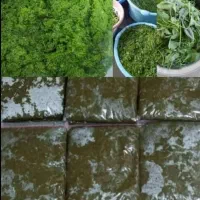 سبزی خورشتی بفروش میرسد