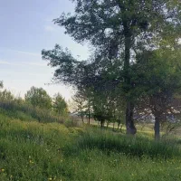 قطعه ۱۳۰۰ متری زمین باغشهر کودیان