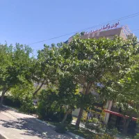 پراید مدل 96بی رنگ