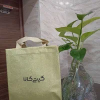 کارگر ساده خانم