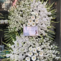 فقط 3500|گل و گیاه طبیعی|تهران, سبلان (لشگر)|دیوار